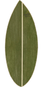 Leafy Green
